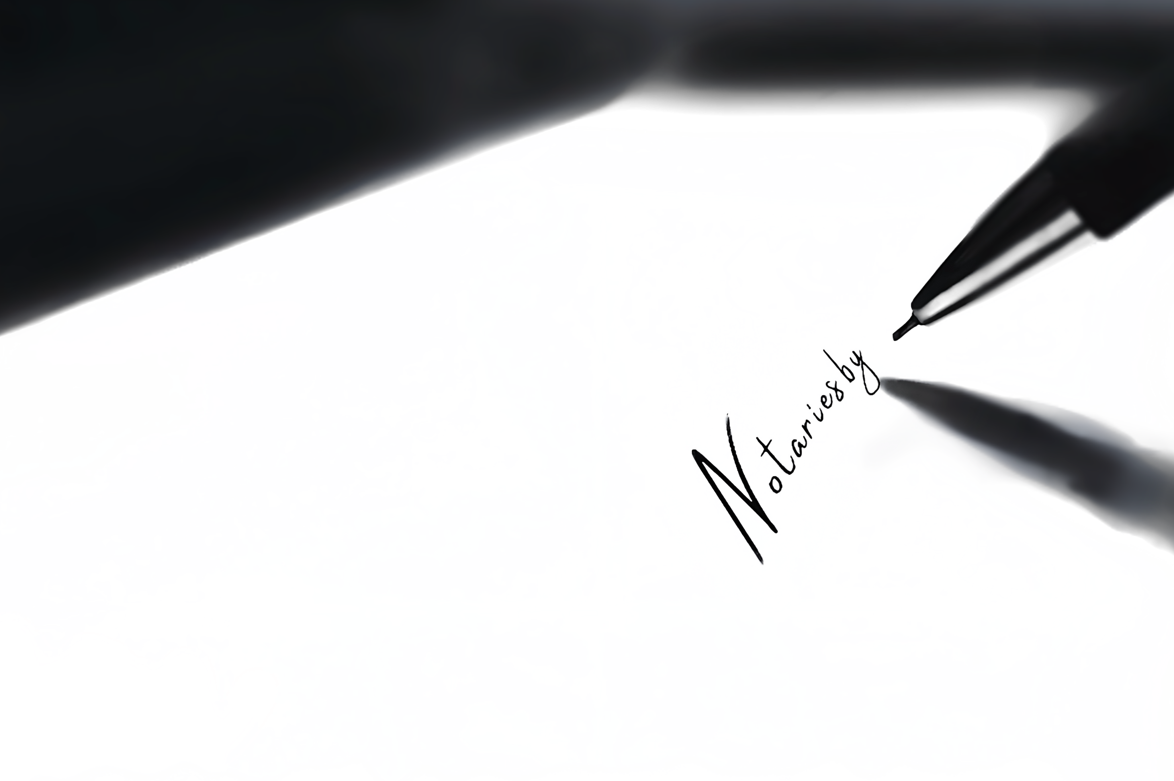 Professional notary services